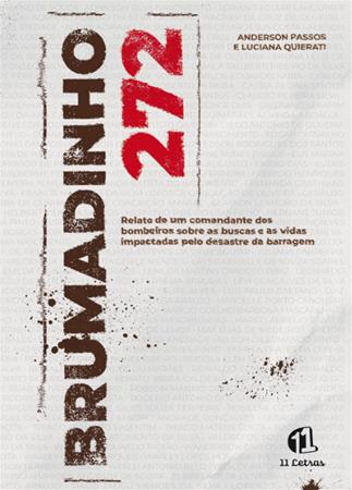 Brumadinho 272: relato de um[...]