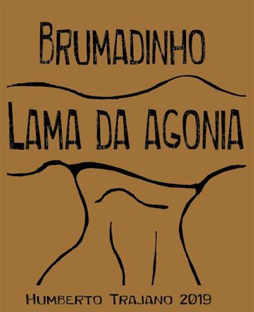 Brumadinho: lama da agonia