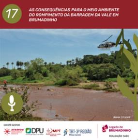 As consequ�ncias para o meio[...]