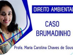 Direito Ambietal- Caso Bruma[...]
