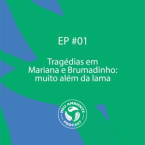 Trag�dias em Mariana e Bruma[...]