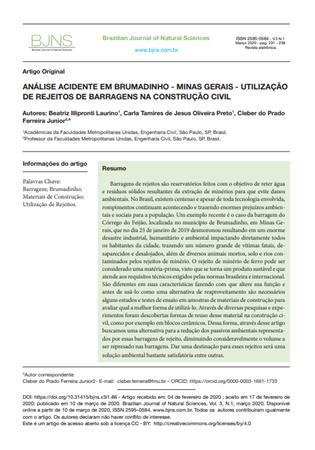 Anlise do acidente em Bruma[...]