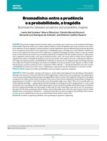 Brumadinho: entre a prudnci[...]