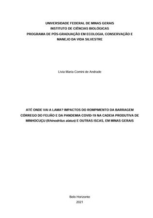 At� onde vai a lama? Impacto[...]