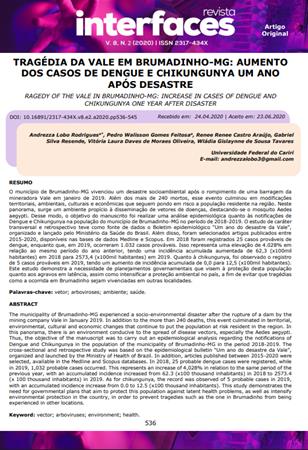 TRAGDIA DA VALE EM BRUMADIN[...]