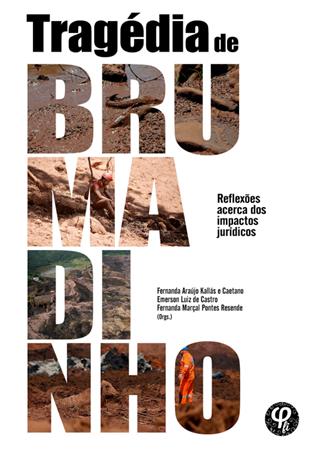 Trag�dia de Brumadinho: refl[...]