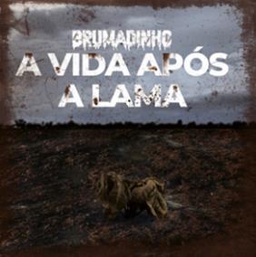 Brumadinho: